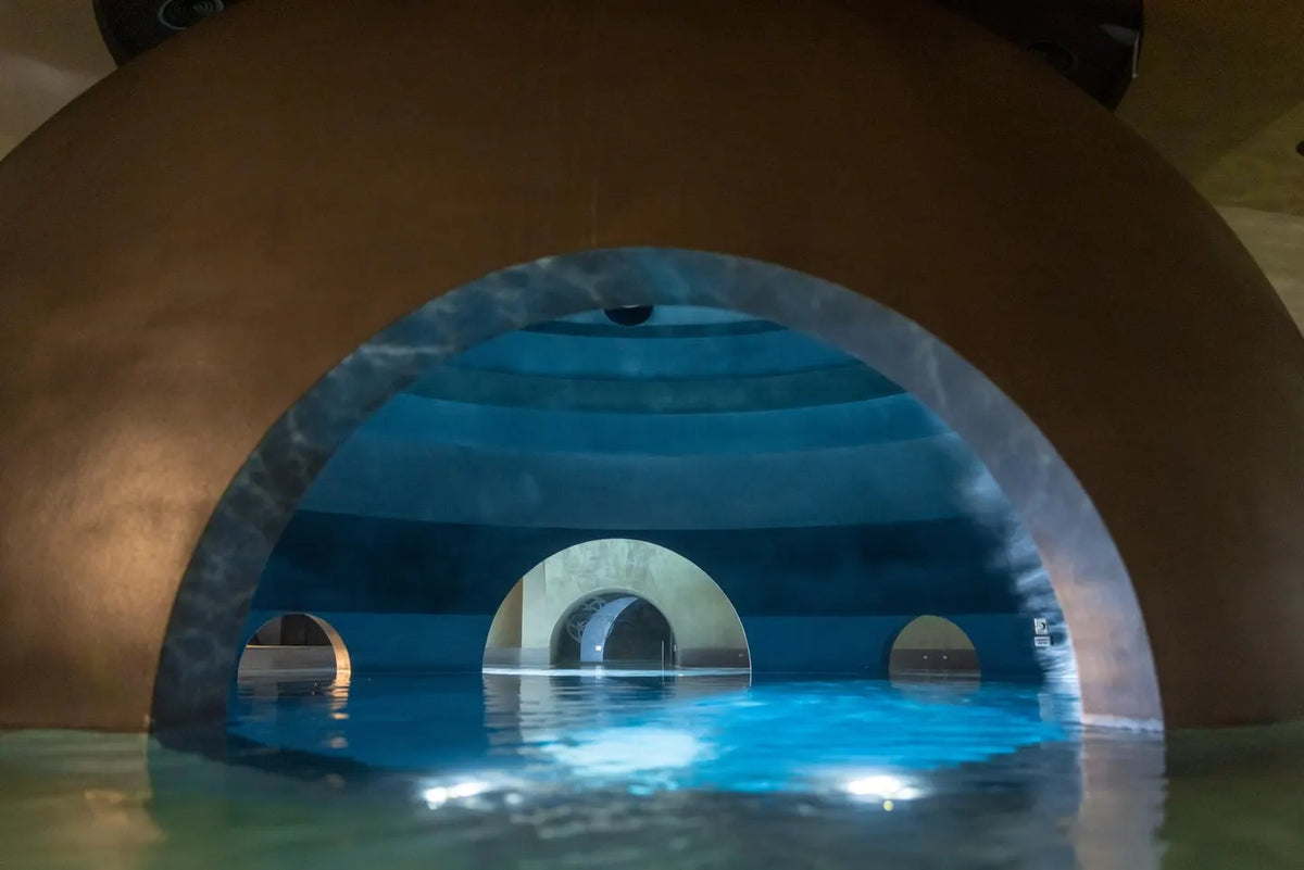 Health Optimization Retreat