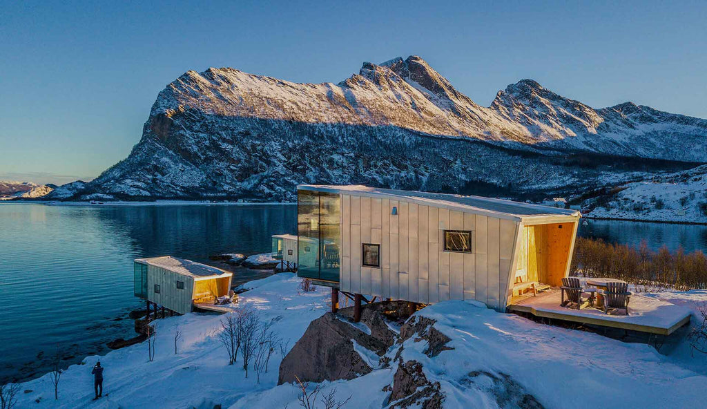 Longevity Reset in Scandinavia
